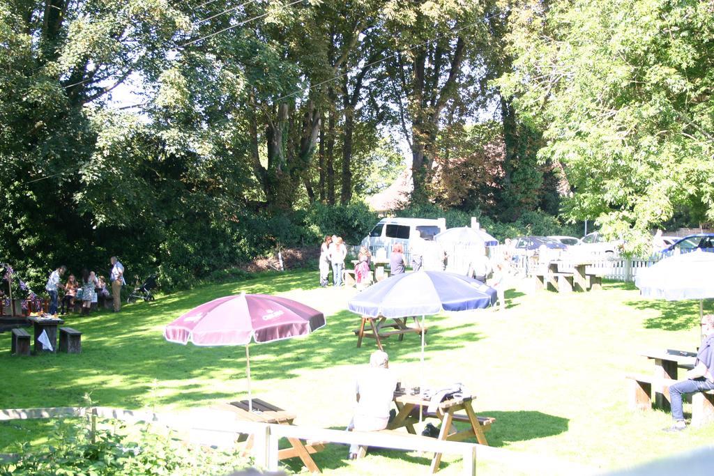 Horse & Groom B&B Westbury  Luaran gambar